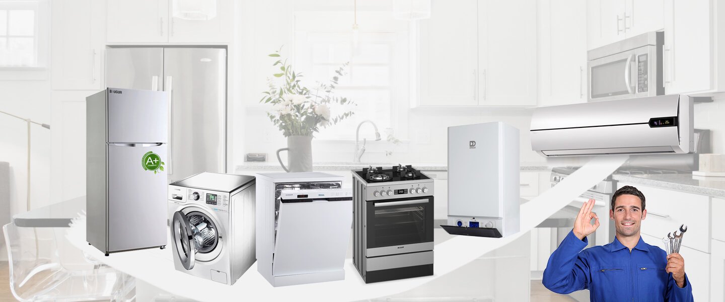 Günyüzü Electrolux Servisi